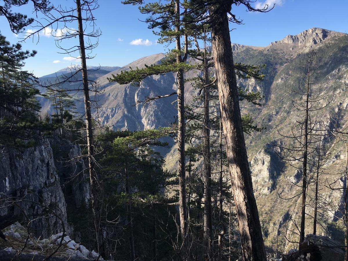 Вілла Monte Zen Жабляк Екстер'єр фото