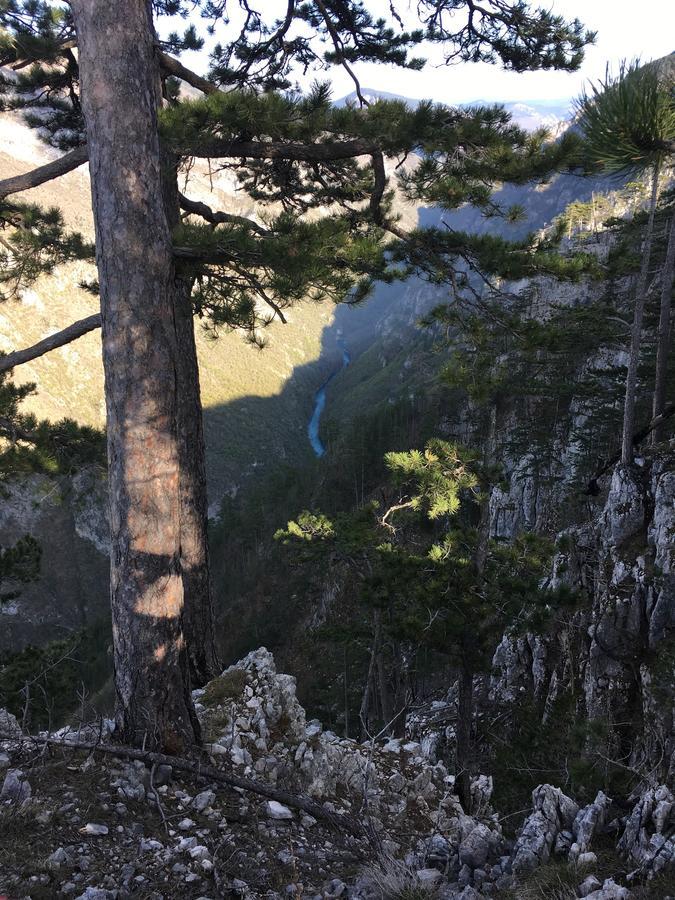 Вілла Monte Zen Жабляк Екстер'єр фото